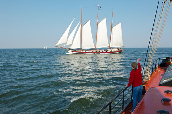 40 Jahre Kootstra Firmenjubiläum