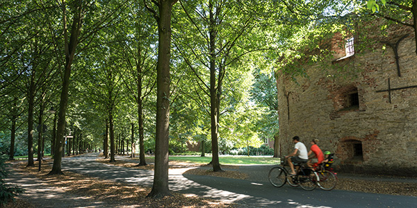 Promenade Münster, autofreier Radweg entlang Lindenallee