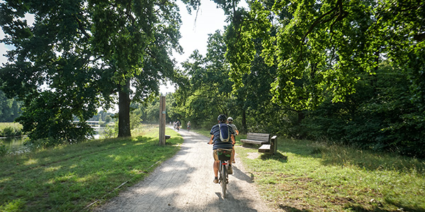 .Radfahrer auf dem Radweg im Münsterland, umgeben von grüner Natur.