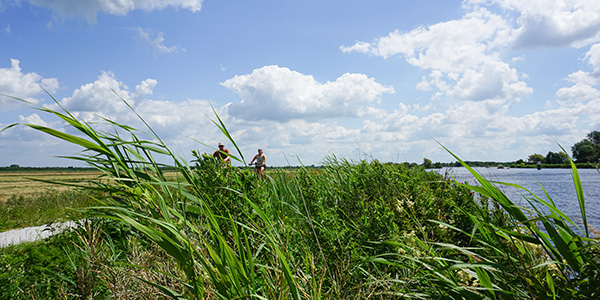 Friesland Holland Radfahren