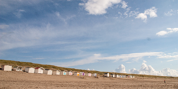 Radweg durch die Dünenlandschaft der Nordseeinsel Texel in Nordholland