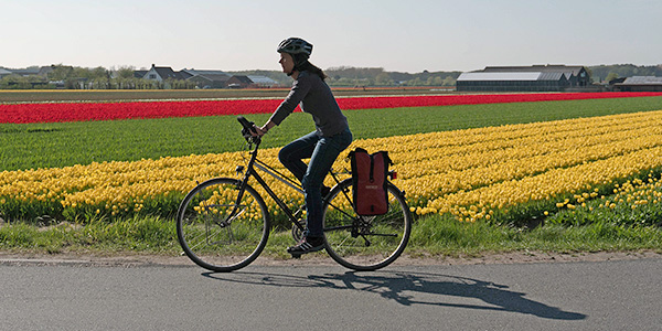 .Tulpenblüte Fahrradreise Holland.